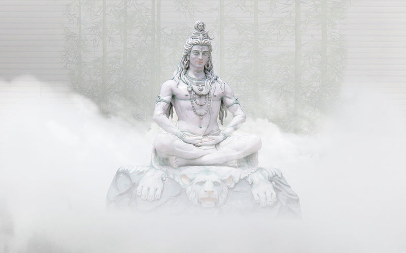 Mahashivratri 2022: Practices & Rituals
