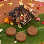 Cow Dung Cakes (Pack of 12 pcs) | Gobar Uple | Cow Dung For Hawan, Puja