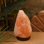 Pink Himalayan Rock Salt Lamp 1.8 KG