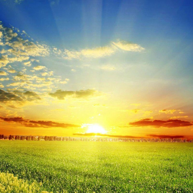 The Essence of Raja Mithuna Sankranti
