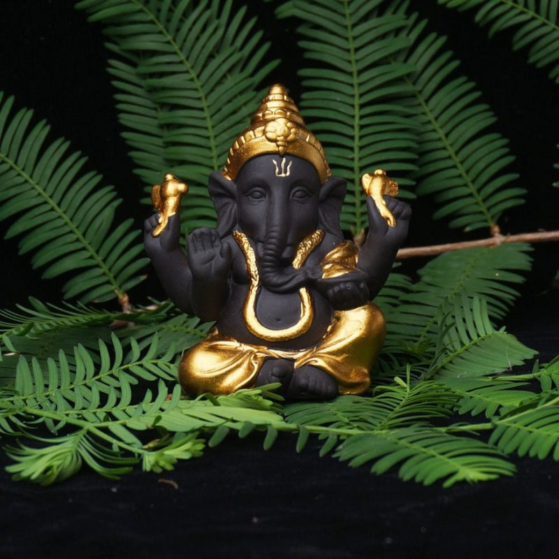 How is Sankashti Chaturthi Vrat Observed?