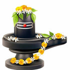 Vaidhyanatha Ashtakam Aarti-lyrics English Hindi