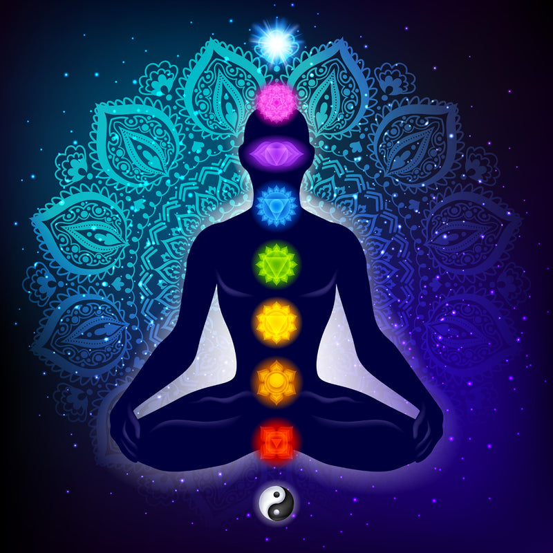 The Seven Chakras of the Human Body