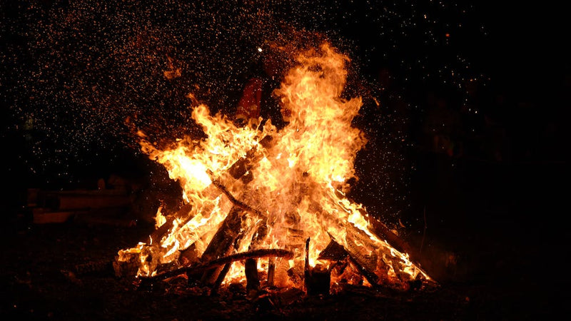 Lohri: the most awaited festival of Punjab