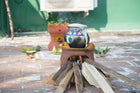 Let Pongal spread the joy of harmony!