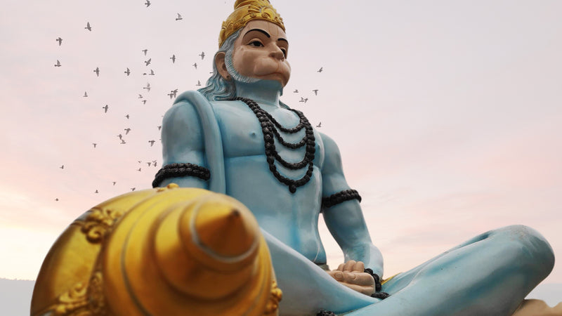 How is Hanuman Jayanti Celebrated ?