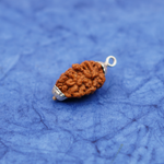 2 Mukhi Rudraksha Pendant | 4g