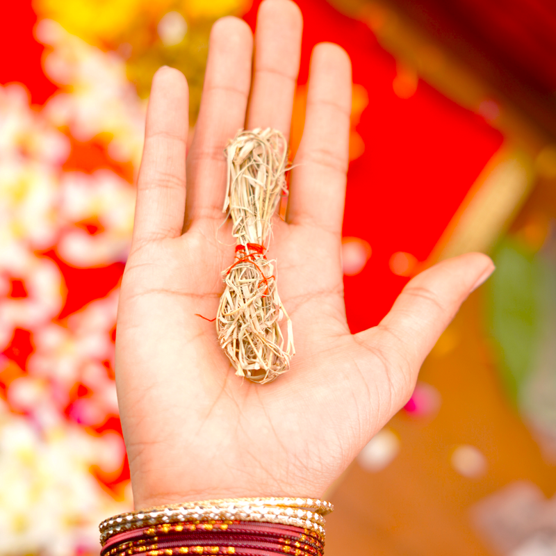 Dried Durva/Doob Grass- 5 pieces for Puja and Havan
