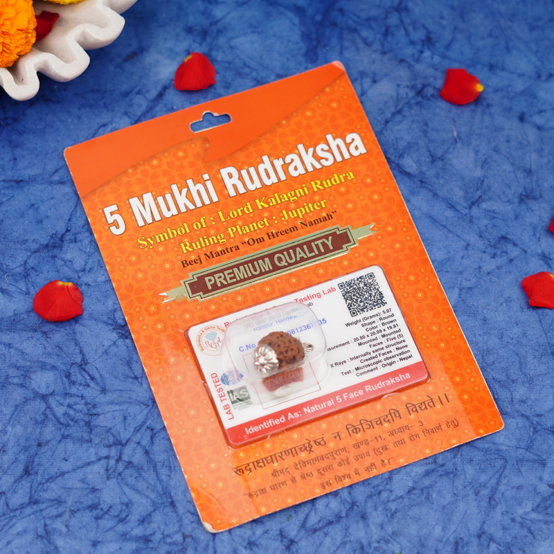 5 Mukhi Rudraksha Pendant | 5g