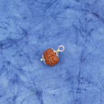 7 Mukhi Rudraksha Pendant |4g