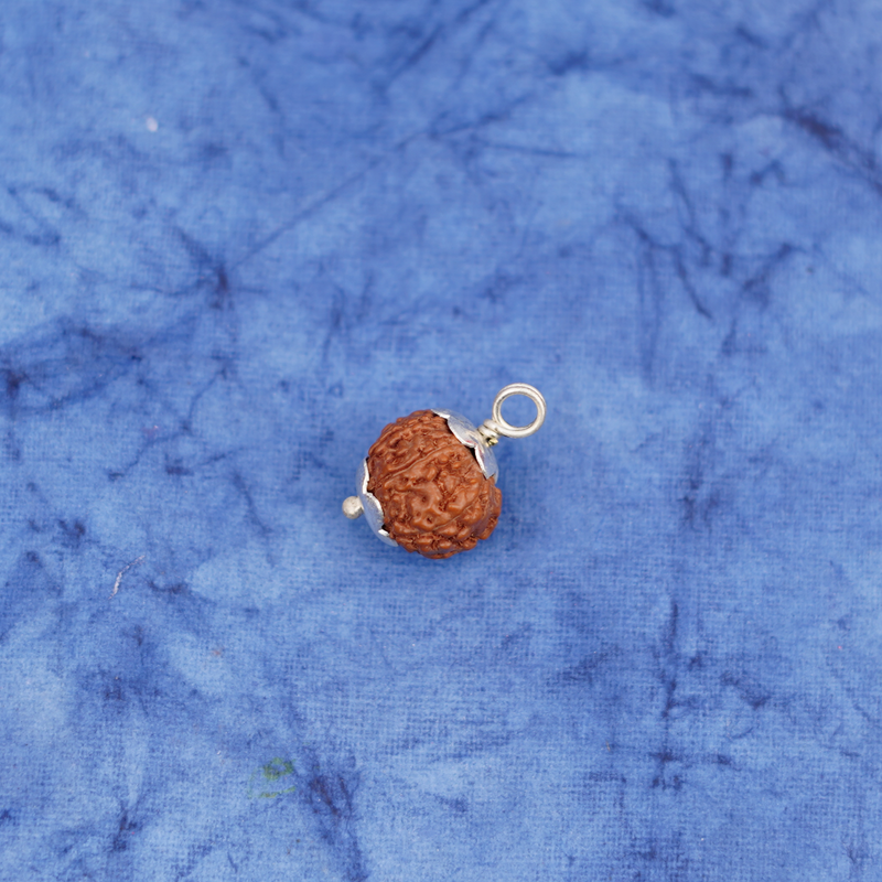 7 Mukhi Rudraksha Pendant |4g