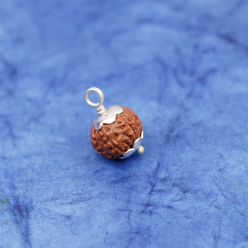 7 Mukhi Rudraksha Pendant |4g