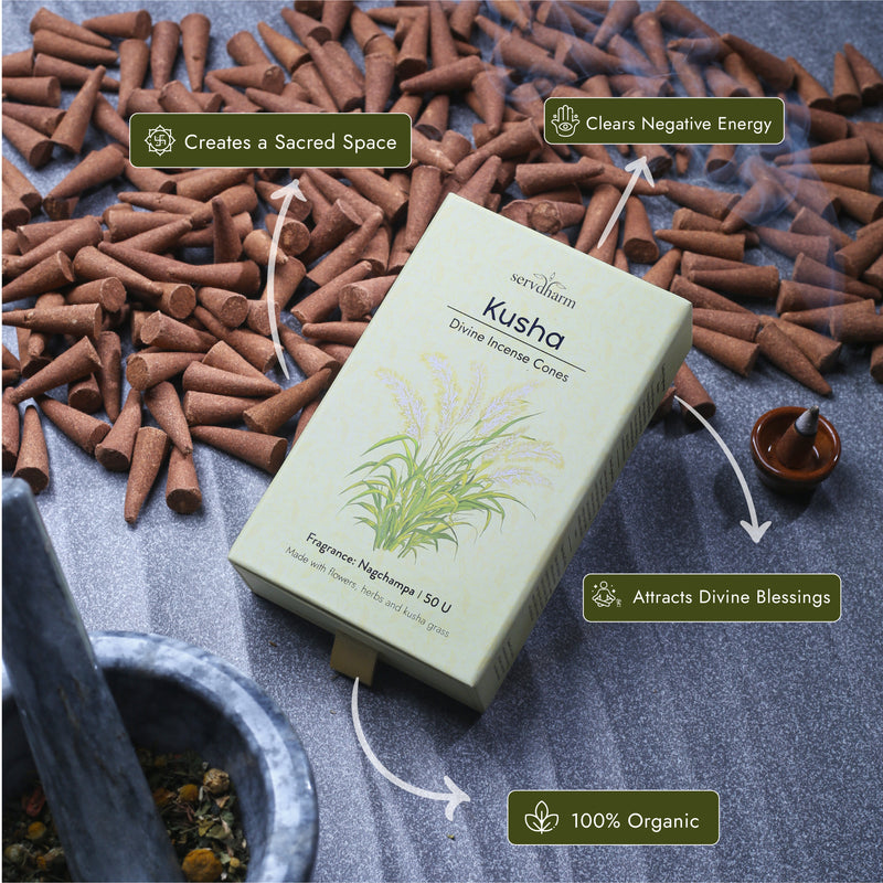 Kusha Divine Incense Cones | Fragrance : Nagchampa | Pack of 50
