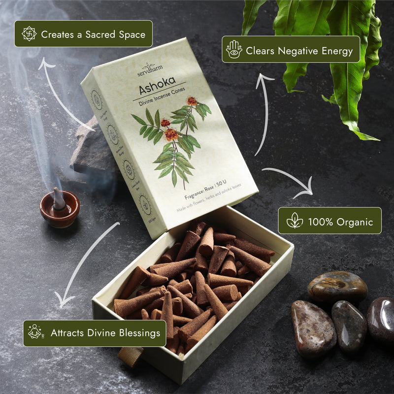 Ashoka Divine Incense Cones | Fragrance : Rose | Pack of 50