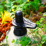 Black Marble Shivling 2.5 Inch