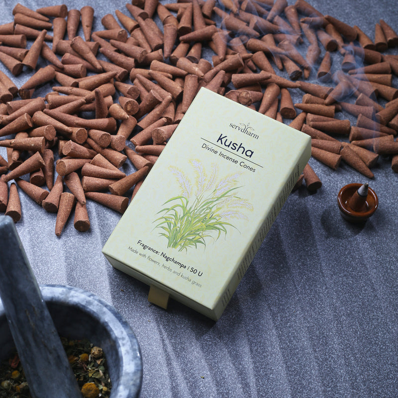 Kusha Divine Incense Cones | Fragrance : Nagchampa | Pack of 50