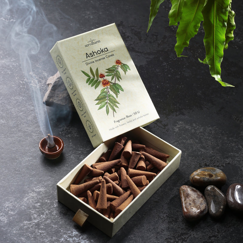 Ashoka Divine Incense Cones | Fragrance : Rose | Pack of 50