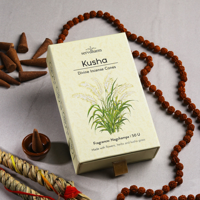 Kusha Divine Incense Cones | Fragrance : Nagchampa | Pack of 50