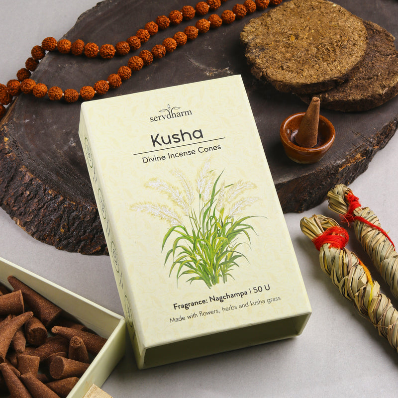 Kusha Divine Incense Cones | Fragrance : Nagchampa | Pack of 50