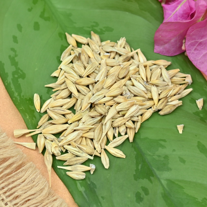 Jau/ Barley 25g | Jau for Pooja