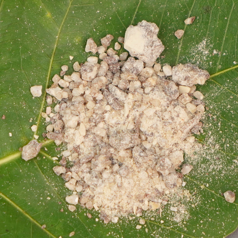 Organic Loban Powder 25 Gram | Havan Samagri | Loban for Pooja