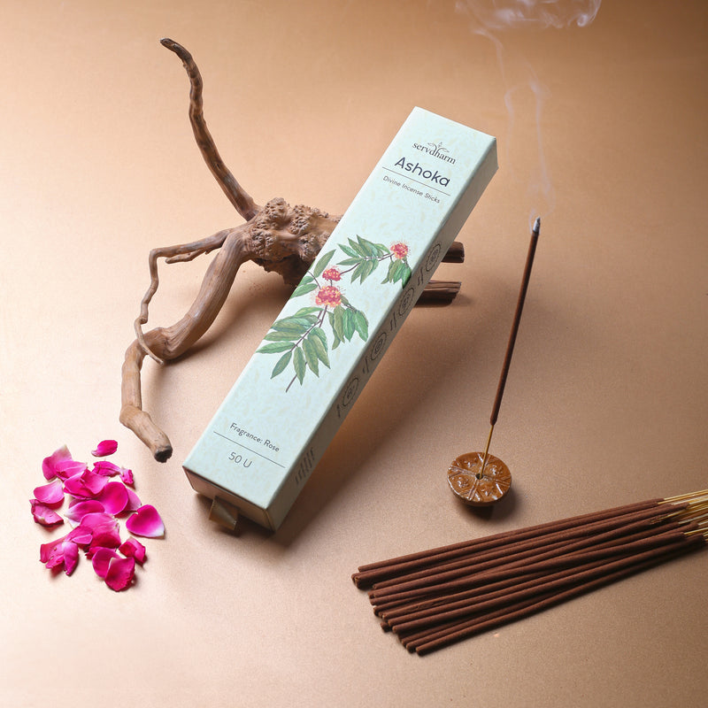 Ashoka Divine Incense Sticks | Fragrance : Rose | Pack of 50