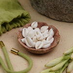 White Kawri/Kaudi/Cowrie For Lord Vishnu, Goddess Lakshmi Pooja ( 11 Shells )